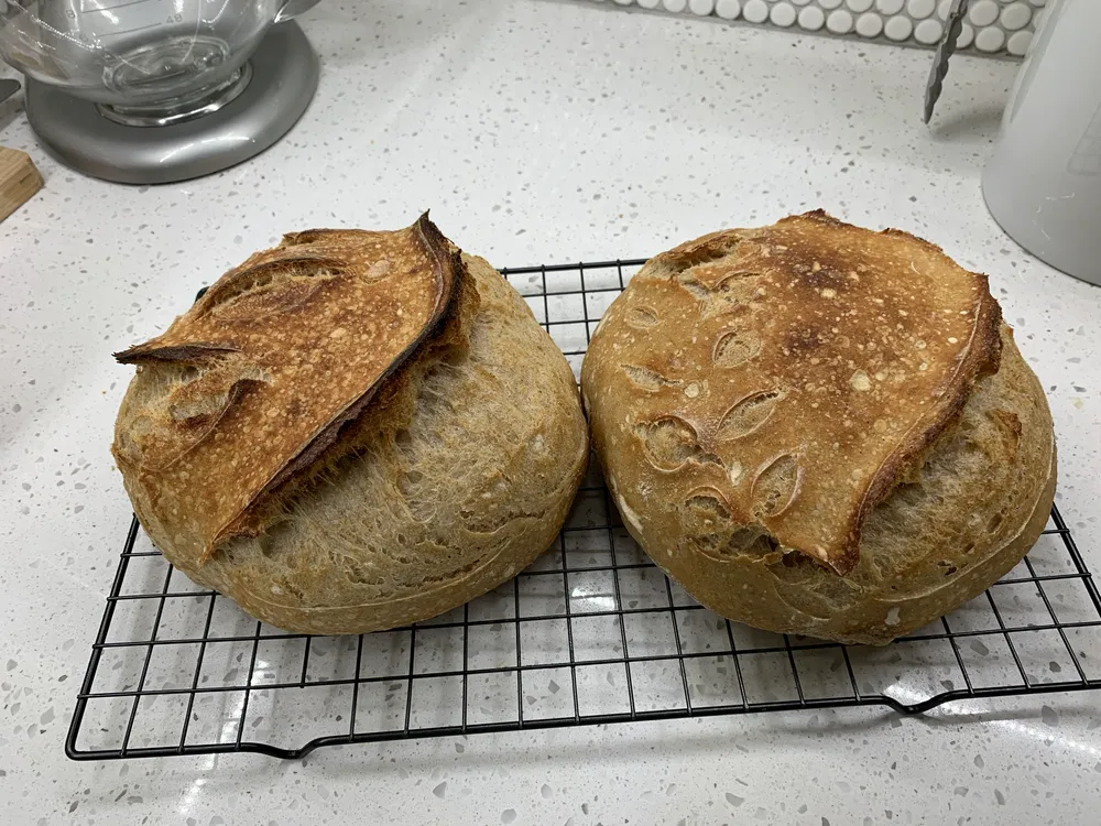 Classic Sourdough