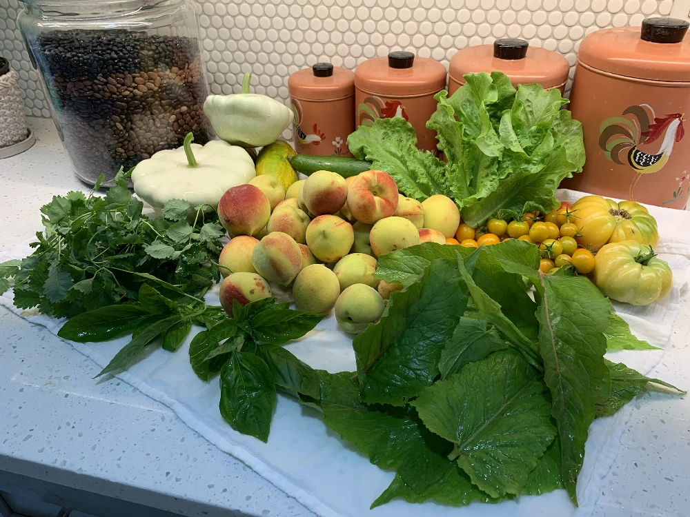 Seasonal Produce
